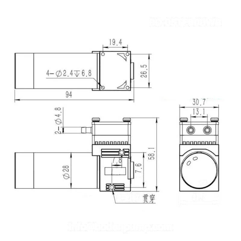 diaphragm liquid pump dimensional drawing with detailed size specifications OD-05TF600WB