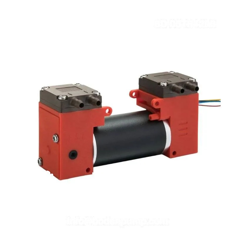 Double head brushless piston pump with high flow and oil-free operation - OD-05TR12LB