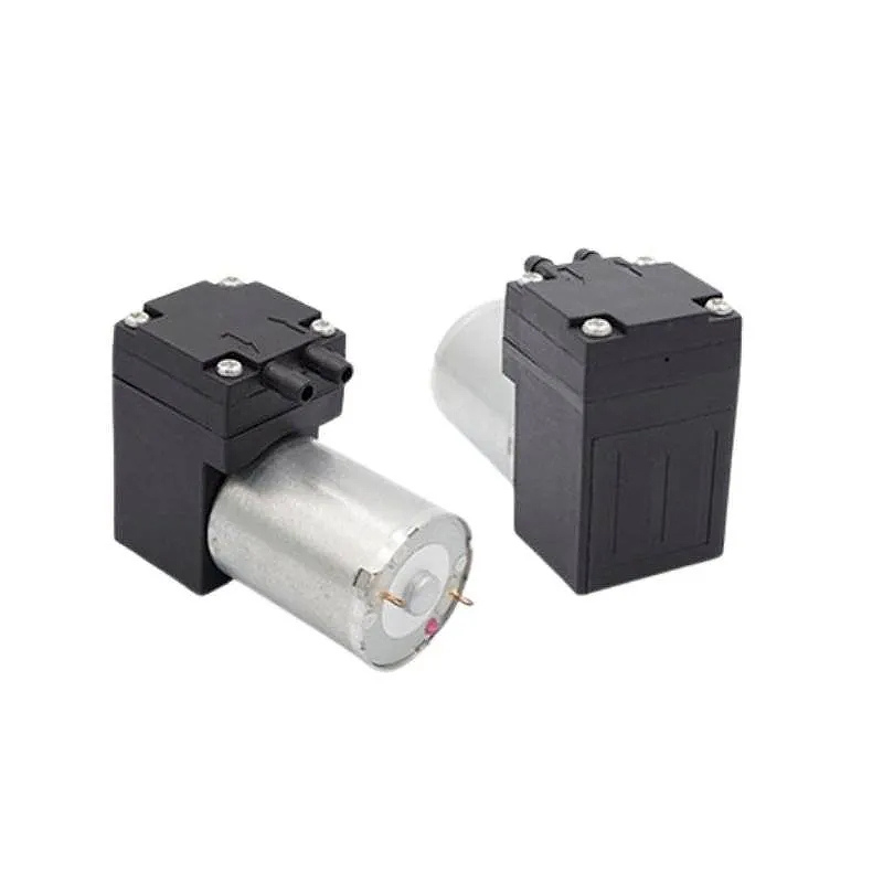 OD-02V Mini Vacuum Pump with Dual Ports