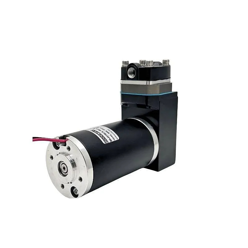 High pressure oil-free swing piston gas pump 12V 24V mini compressor OD-05TR17L